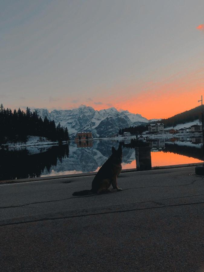 Quinz - Locanda Al Lago Hotell Misurina Eksteriør bilde